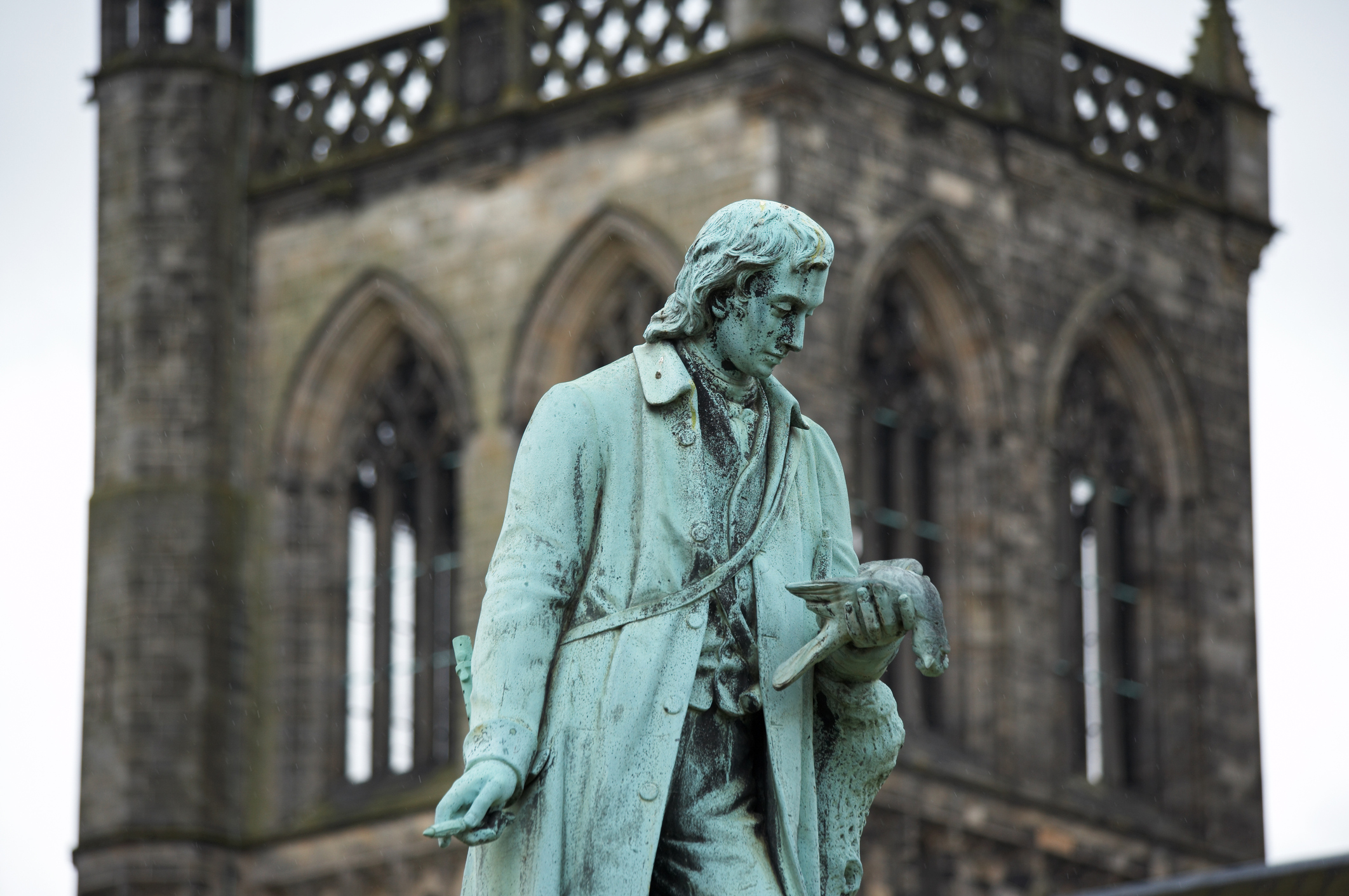 Literature Image