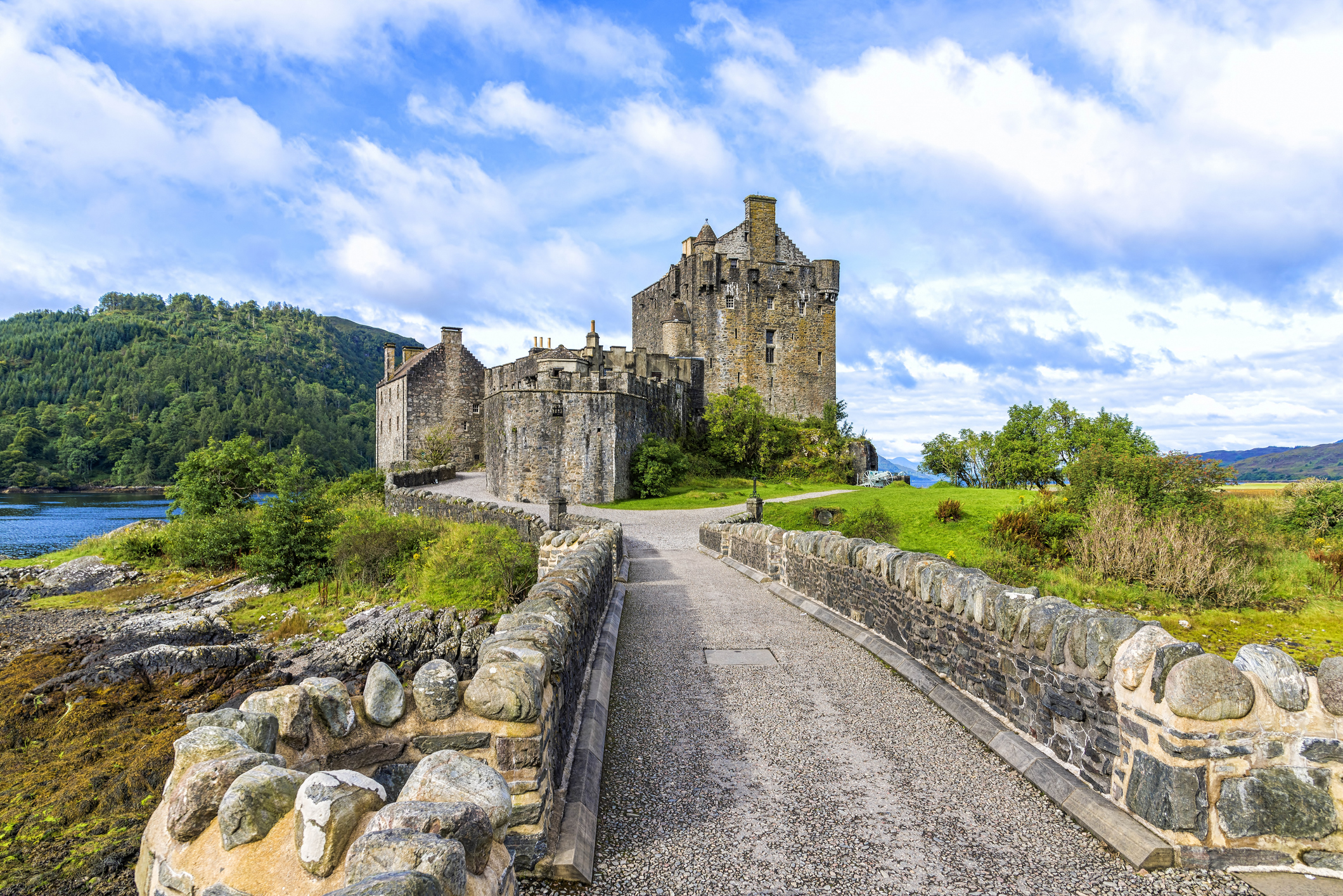 Tartan Image