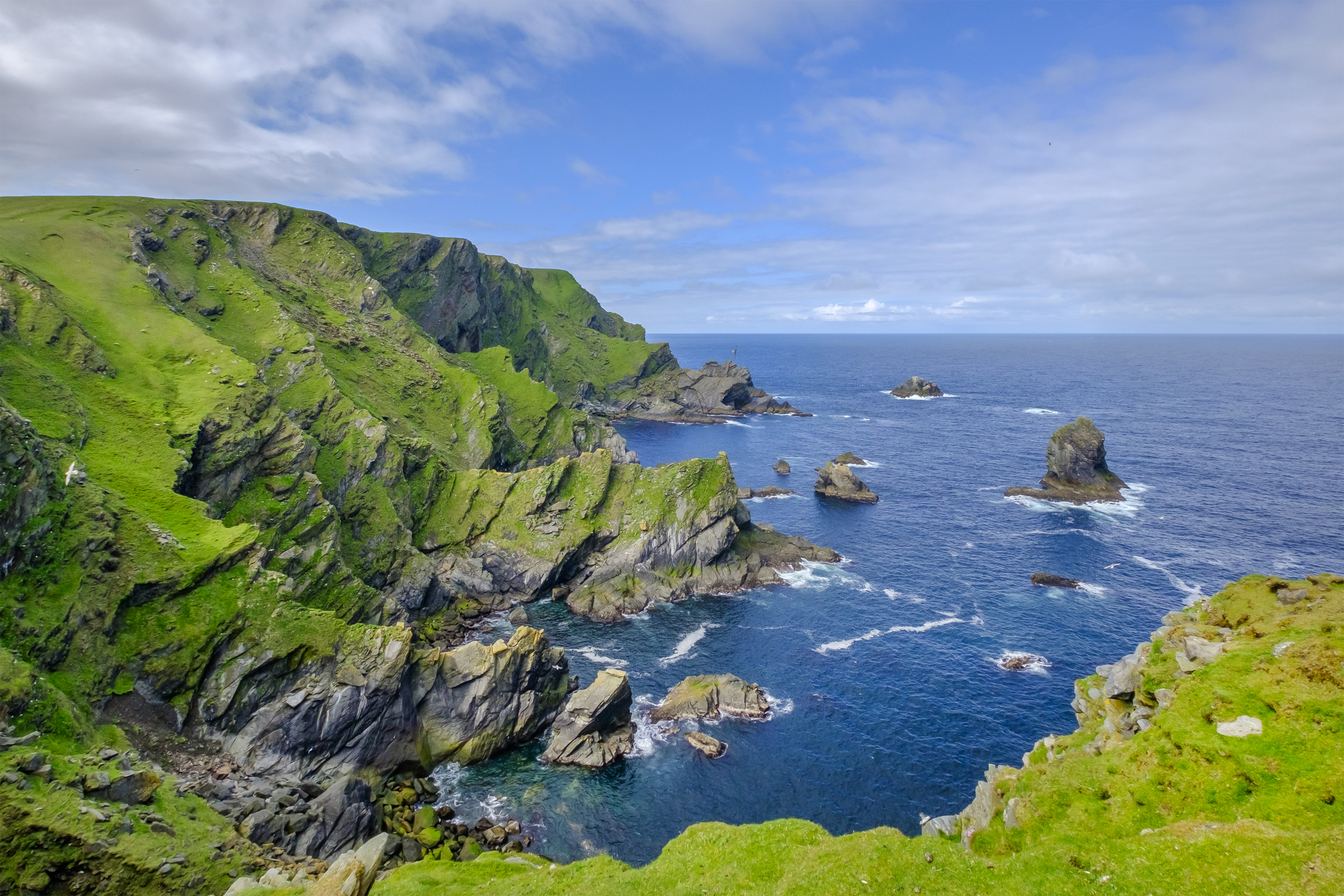 Wild Scotland Image