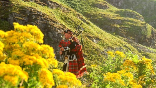 Decorating the Floors of a Scottish Home Image